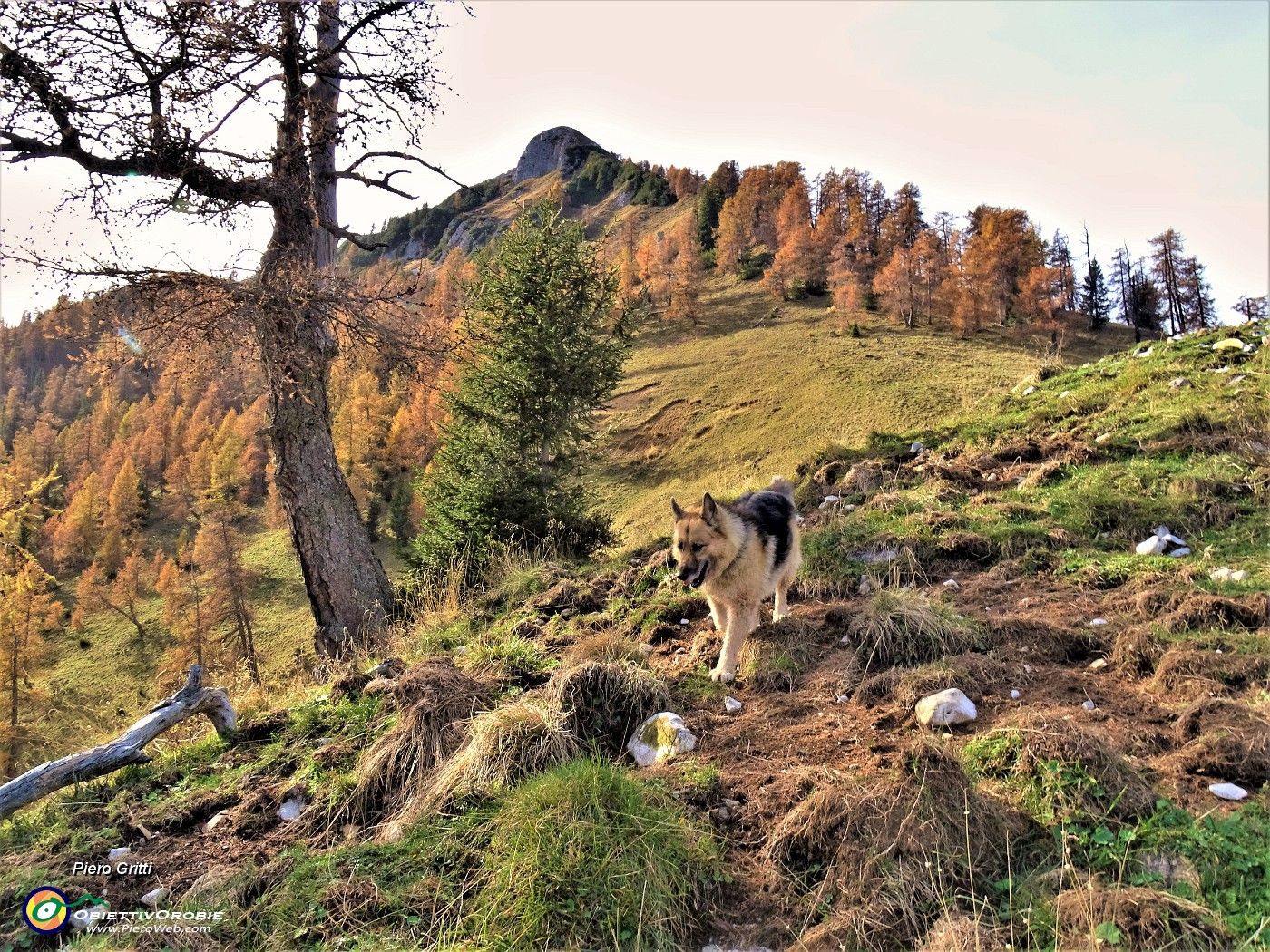 39 In salita dal Monte Colle (1750 m) al soprastante Passo di Monte Colle (1938 m).JPG